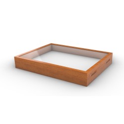 GABLOTA ENTOMOLOGICZNA 40X30 MERANTHI Z PIANKĄ
